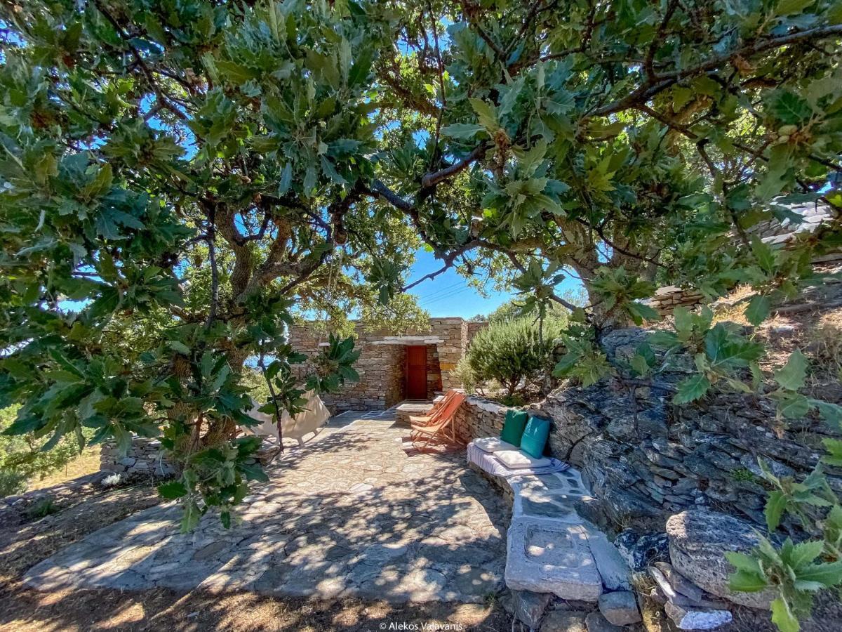 Under Royal Oaks Villa Pera Meria Exterior photo